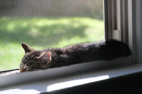 So smol